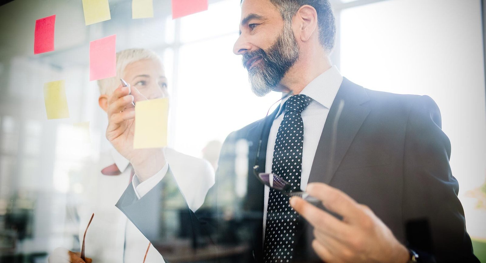 Euismod Risus Egestas Nibh Pellentesque